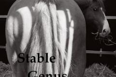 20180905-stable-geniud