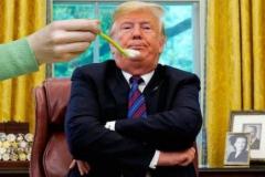 20180907-trump-feeding-time