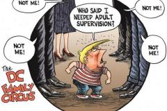 20180908-trump-adult-supervision
