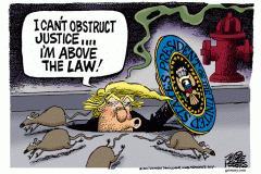 20180910-trump-above-the-law