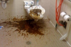 20180912-trump-presidency-s-far-toilet