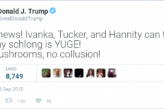 20180918-trump-spoof-schlong-tweet