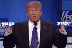 20180918-trump-tiny-hands