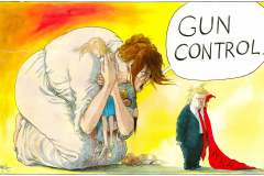20181218-trump-gun-control