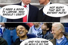 20181230-trimp-what-lawyer