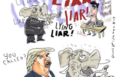 20190302-trump-liar-liar