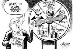 20200608-trump-blame