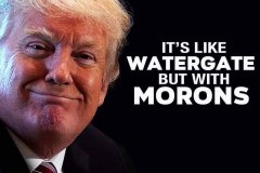 20200608-trump-watergate-with-morons