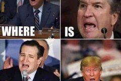 20200608-trump-where-is-the-clitoris