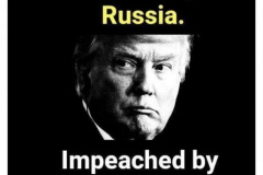 20200704-trump-elected-by-russia