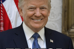 20200704-trump-traitor