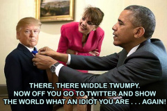 20200706-little-trumpy