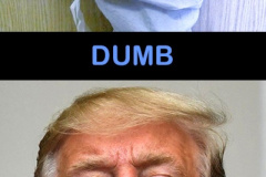 20200707-trump-dumb-dumber