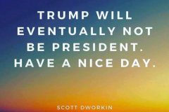 20200708-trump-not-be-president