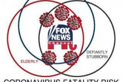 20200710-coronavirus-venn-diagram