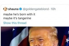 20200711-trump-tangerine