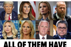 20200711-voted-by-mail