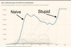 20200712-naive-stupid