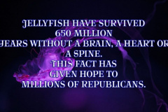 20200714-republican-jellyfish