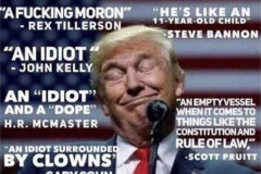 20200715-trump-moron