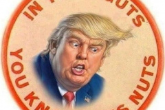 20200715-trump-nuts