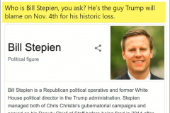 20200716-trump-bill-stepien