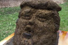 20200718-trump-dung