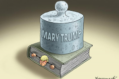 20200718-trump-mary-book