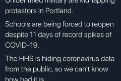 20200719-lincoln-project-country-in-collapse