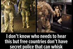 20200719-secret-police