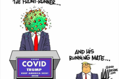 20200720-trump-vs-covid-19