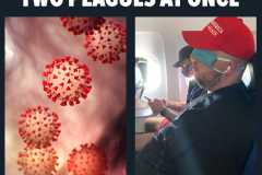 20200720-two-plagues