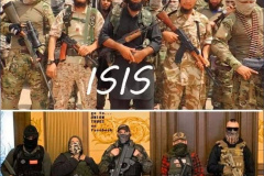 20200720-vanilla-isis