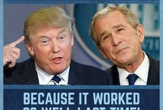 20200724-trump-vote-for-stupid