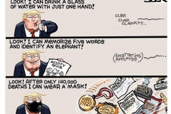 20200725-trump-5-words-2