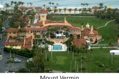 20200726-mount-vermin