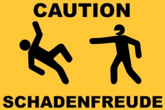 20200726-schadenfreude