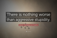 20200726-trump-aggressive-stupidity