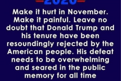 20200726-trump-make-it-hurt