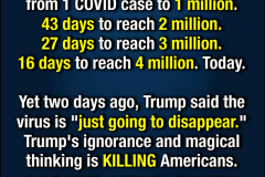 20200726-trump-vote-him-out