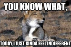 20200726-you-know-what