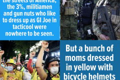 20200727-bunch-of-mums