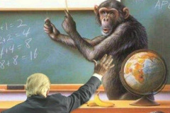 20200727-trump-monkeys-test