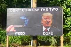 20200727-trump-weed-dope