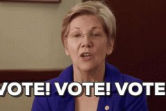 20200727-warren-vote-vote-vote