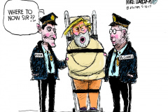 20200728-trump-where-to-now