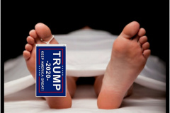 20200730-trump-florida