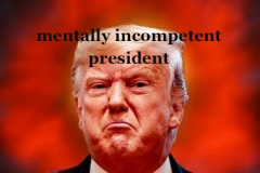20200730-trump-incompetent