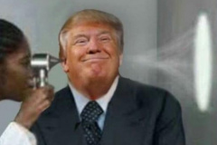 20200801-trump-no-brain