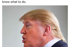 20200801-trump-orange-blotus-1